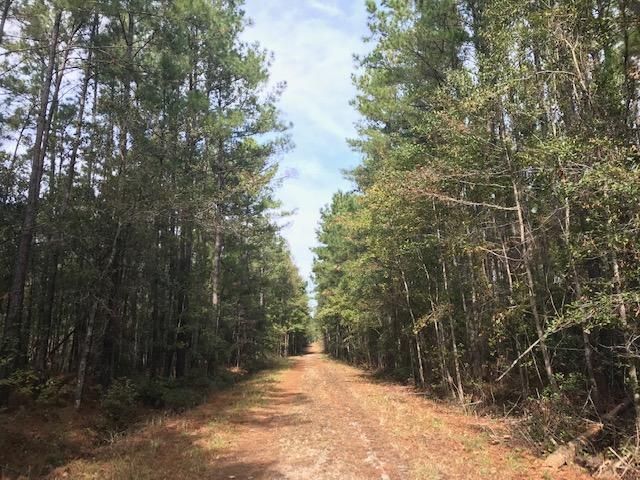 0 Charity Church Rd, Huger, SC 29450