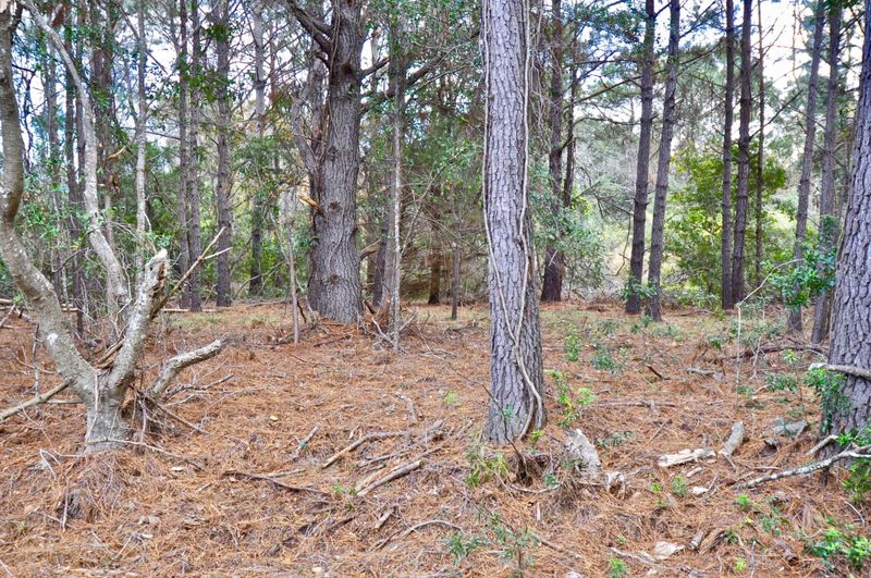 Lot 47 Marsh Aire Ln, Edisto Island, SC 29438
