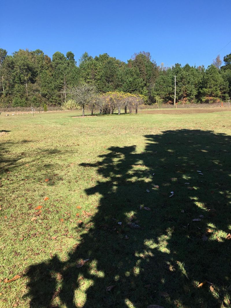335 Beulah Tabernacle Dr, Saint Stephen, SC 29479