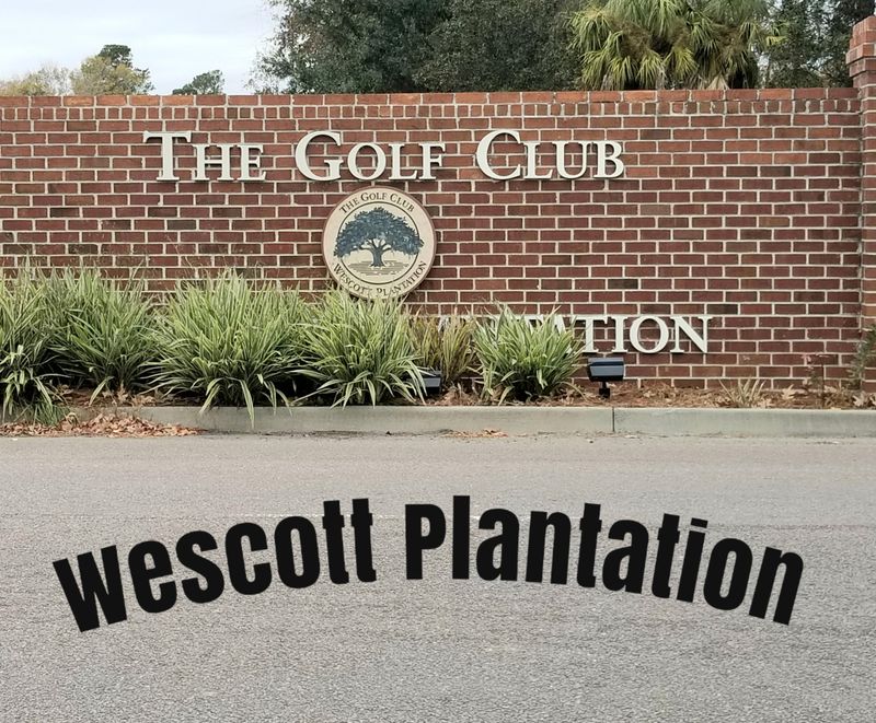 9064 Fieldstone Tc, Summerville, SC 29485