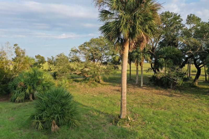 484 Flowers Ct, Edisto Island, SC 29438