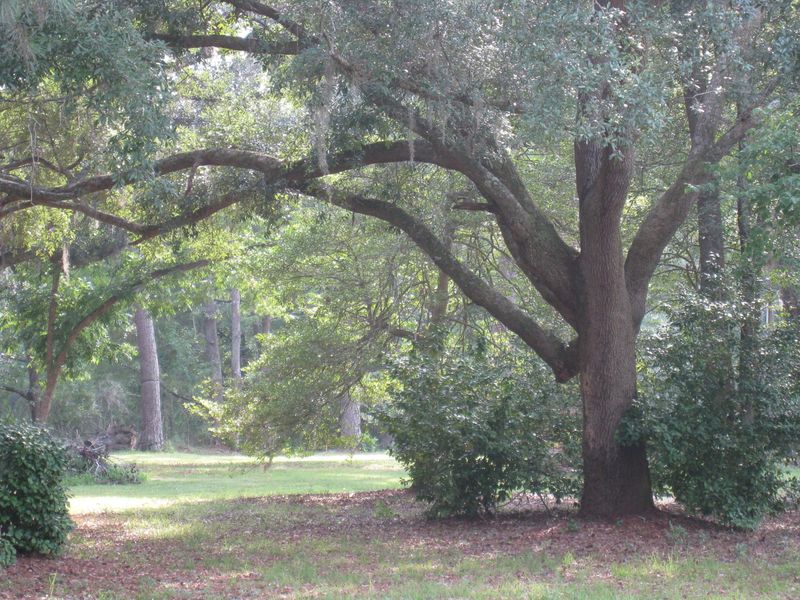 0 Glascow Island Loop, Edisto Island, SC 29438