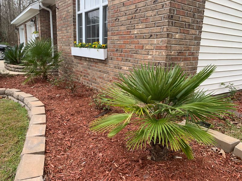 810 Beverly Dr, Summerville, SC 29485