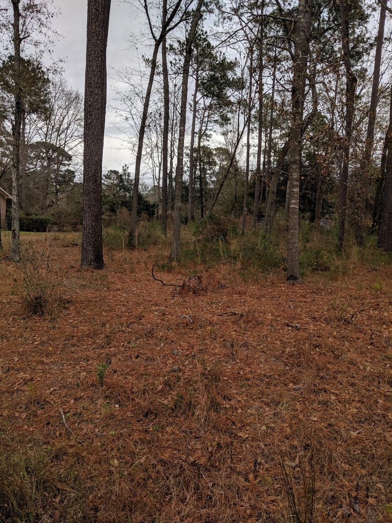 119 Wilson Dr, Summerville, SC 29483