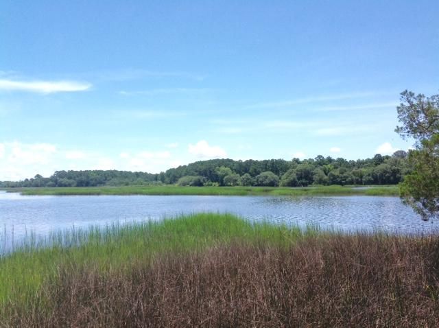 Lot 2 Summit Plantation Rd, Meggett, SC 29449