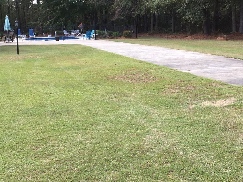 256 Zion Rd, Dorchester, SC 29437