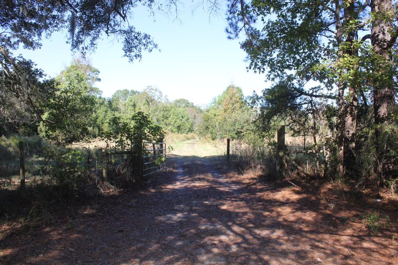 3988 River Rd, Johns Island, SC 29455