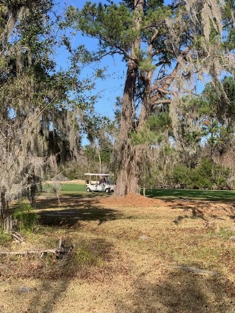 187 Shadowmoss Pw, Charleston, SC 29414