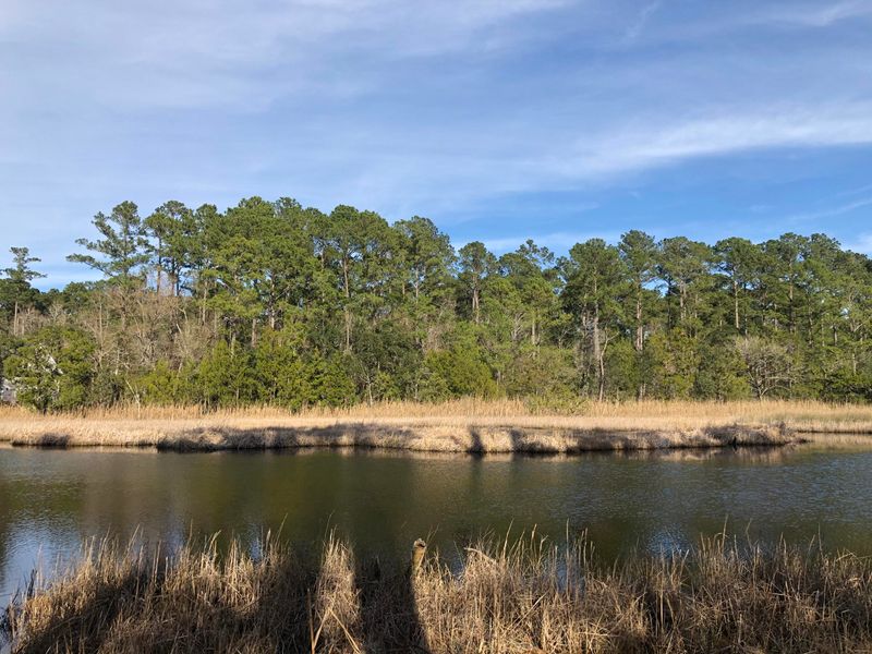 4251 Duck Club Rd, Hollywood, SC 29470