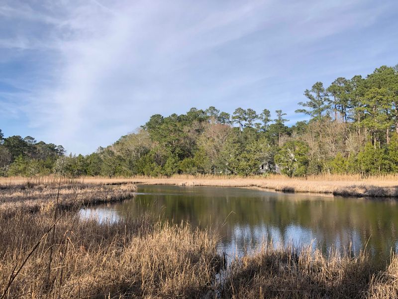 4251 Duck Club Rd, Hollywood, SC 29470