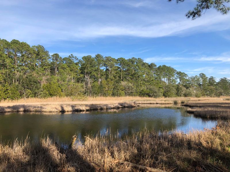 4251 Duck Club Rd, Hollywood, SC 29470