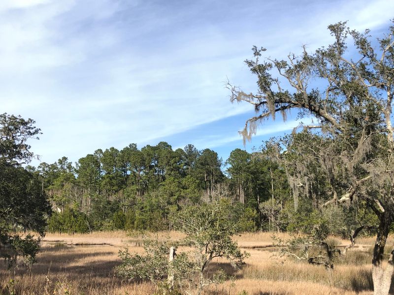 4251 Duck Club Rd, Hollywood, SC 29470