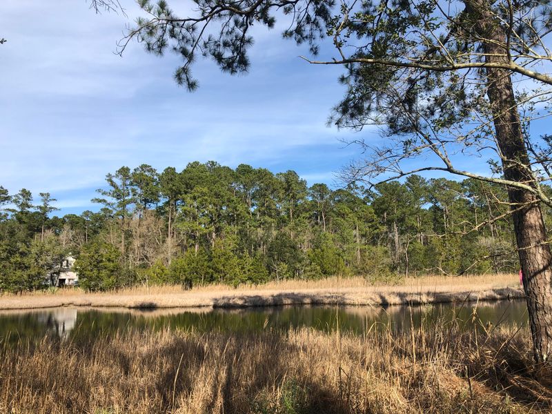 4251 Duck Club Rd, Hollywood, SC 29470