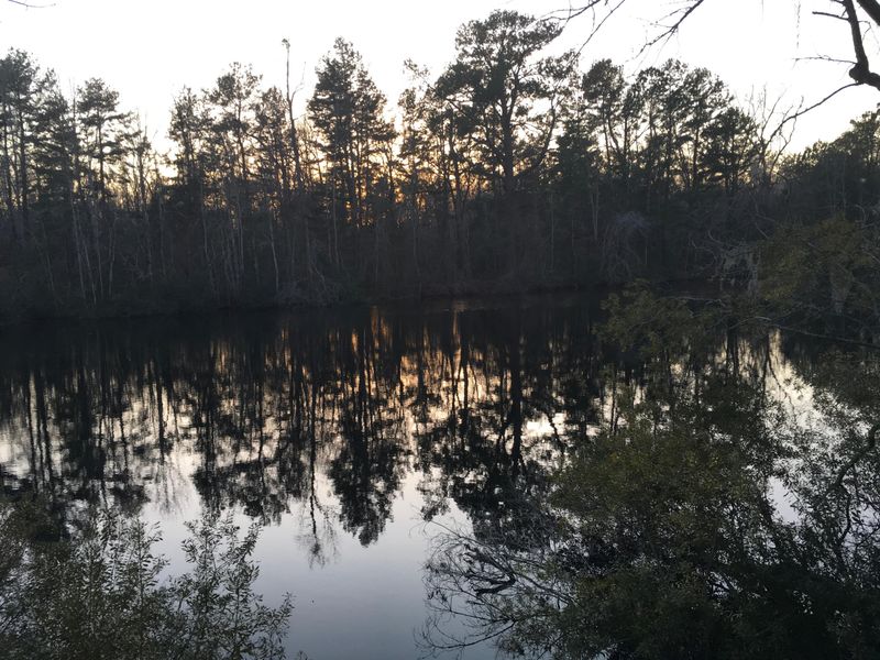 125 Rhetts Way, Summerville, SC 29485