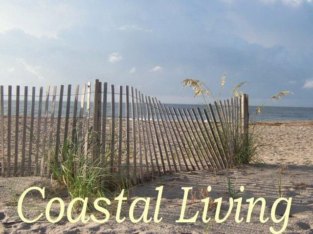 814 Dawhoo St, Edisto Island, SC 29438