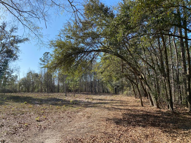 0 Power House Rd Lot 2, Moncks Corner, SC 29461