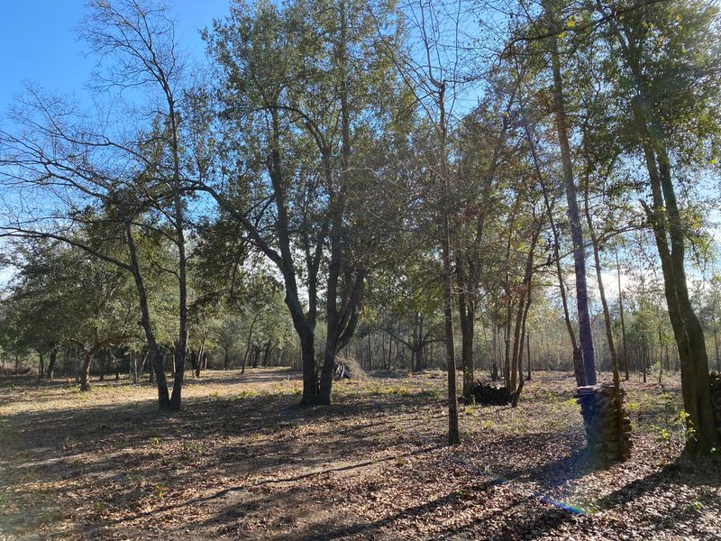 0 Power House Rd Lot 5, Moncks Corner, SC 29461