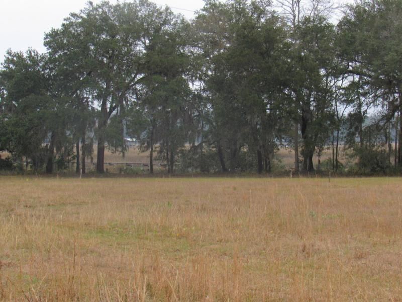 1677 Lonnie Taylor Ln, Wadmalaw Island, SC 29487