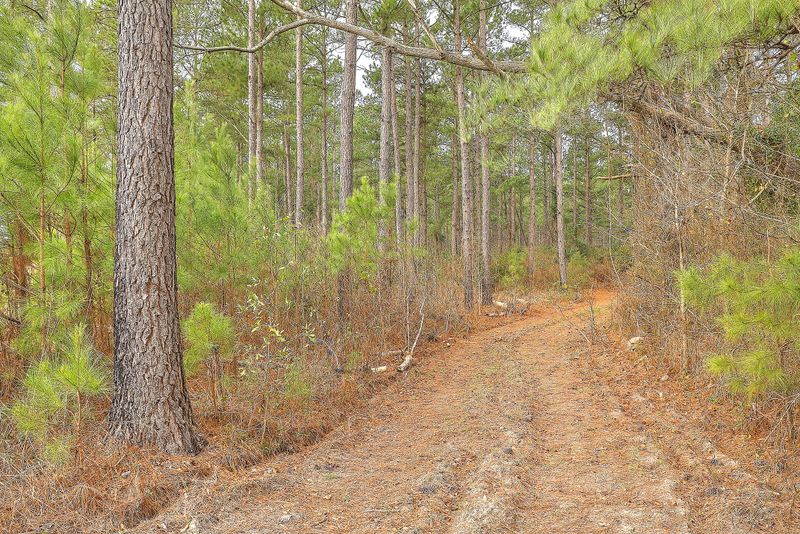 2041 Old Highway 6, Cross, SC 29436