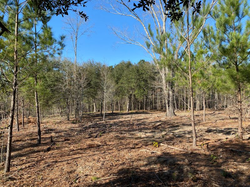 0 Power House Rd Lot 7, Moncks Corner, SC 29461