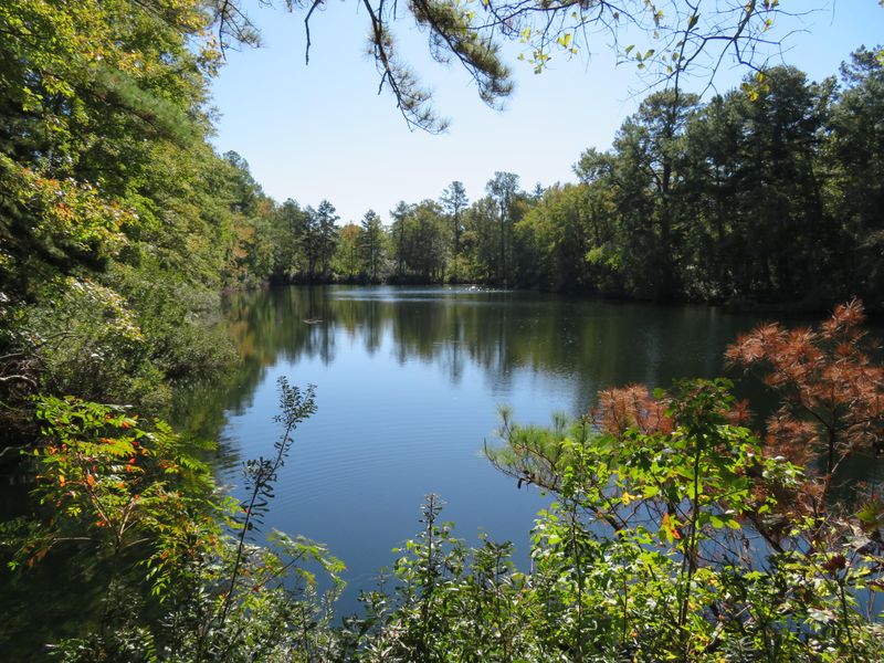 107 Rhetts Way, Summerville, SC 29485
