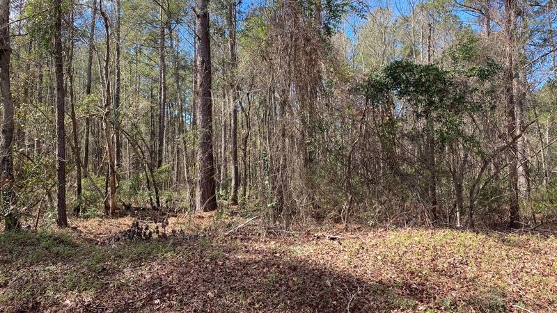 0 West End, Moncks Corner, SC 29461