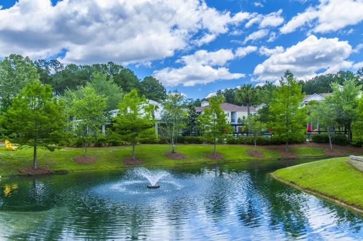1013 Basildon Rd, Mount Pleasant, SC 29466