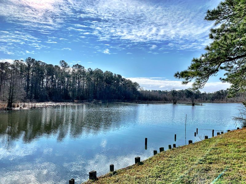 736 General Moultrie Dr, Bonneau, SC 29431