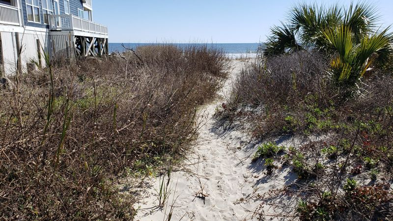 1579 E Ashley Ave, Folly Beach, SC 29439