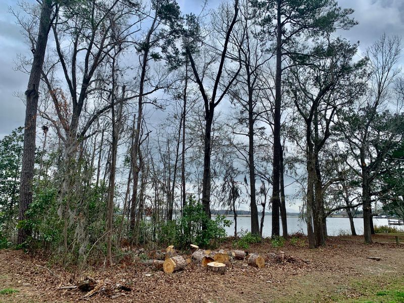 1829 Fishing Island Rd, Moncks Corner, SC 29461