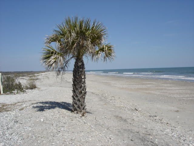 42 Eel Island Rd, Edisto Island, SC 29438