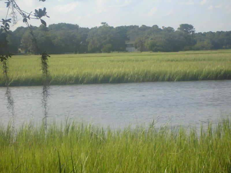 8266 Palmetto Rd, Edisto Island, SC 29438