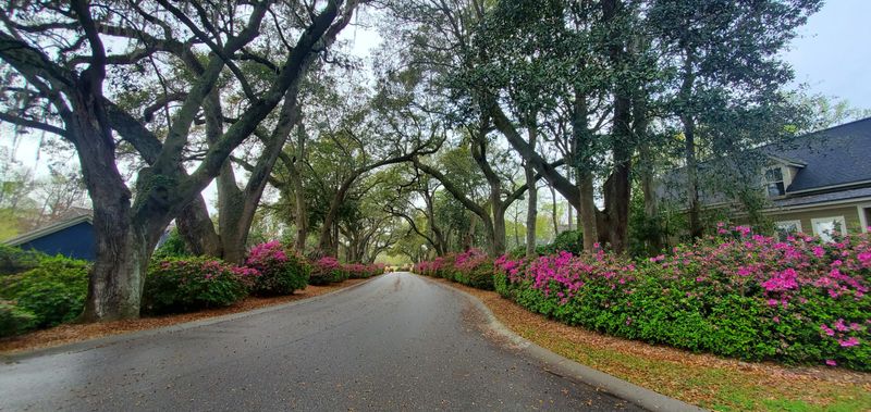 661 Fair Spring Dr, Charleston, SC 29414