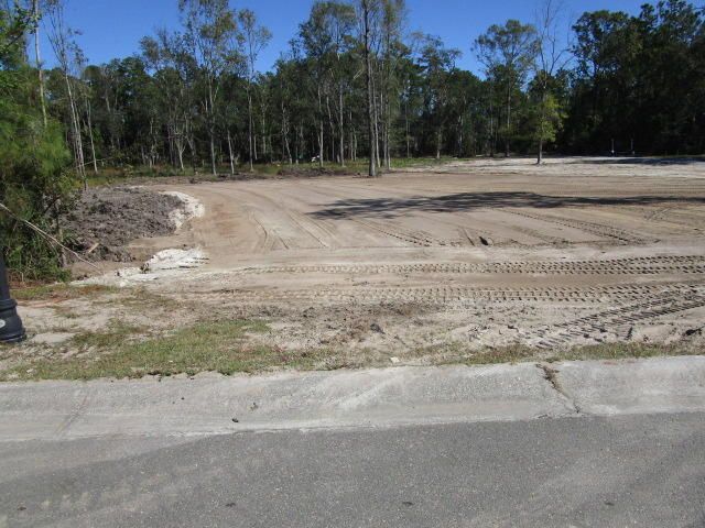 Lot 1b Newport Ct, Charleston, SC 29492