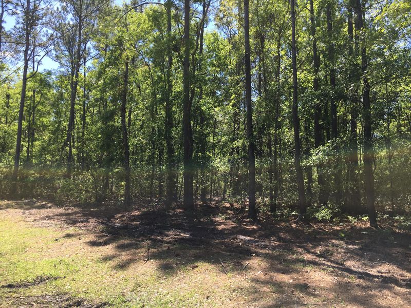 0 Sebago Rd, Meggett, SC 29449