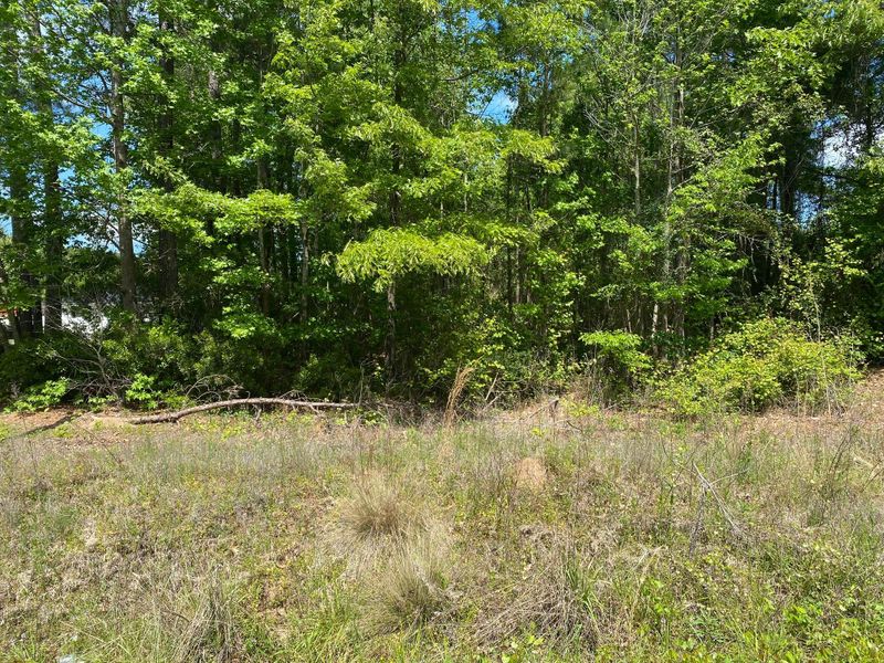 1070 Schurlknight Rd, Saint Stephen, SC 29479