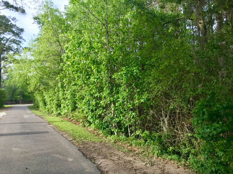 2908 Roast Duck Ln, Johns Island, SC 29455