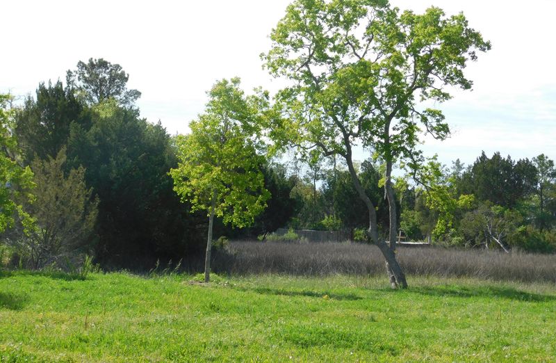 0 Ashley View Ln, North Charleston, SC 29405