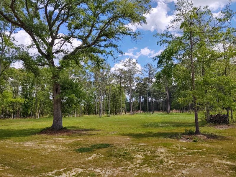 5545 Huckleberry Ln, Mcclellanville, SC 29458