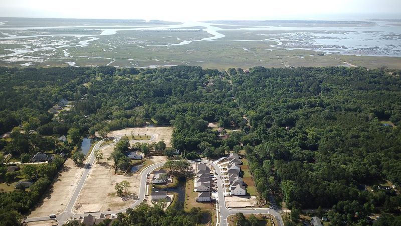 1039 Sago Palm Ct, Mount Pleasant, SC 29429