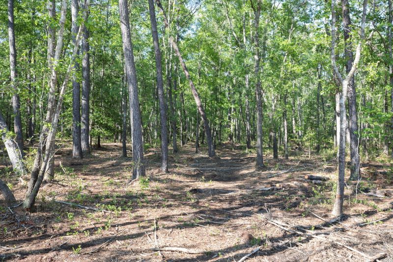 Lot 5 White Rd, Awendaw, SC 29429
