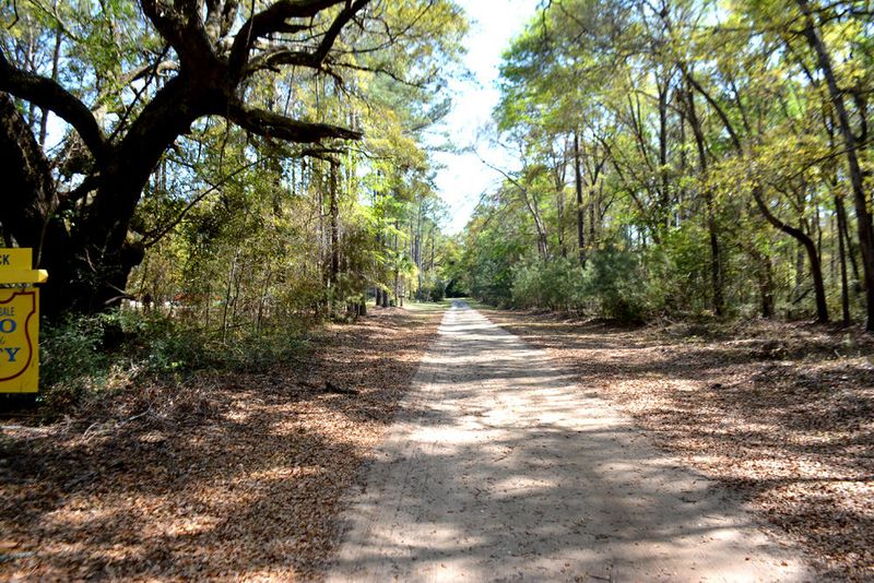 6 Marsh Bluff Ct, Edisto Island, SC 29438