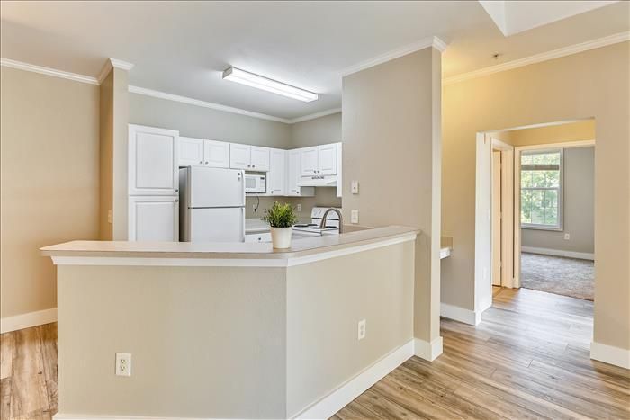 60 Fenwick Hall Allee #431, Johns Island, SC 29455