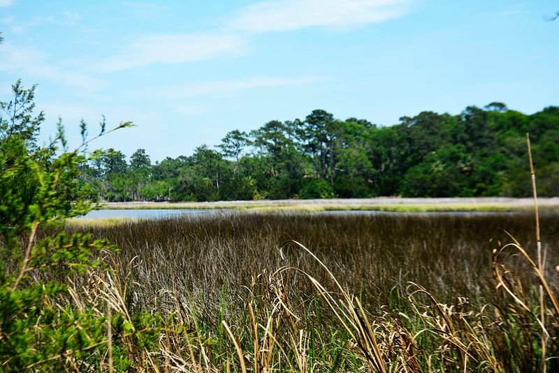 8976 Palmetto Rd Lot 26, Edisto Beach, SC 29438