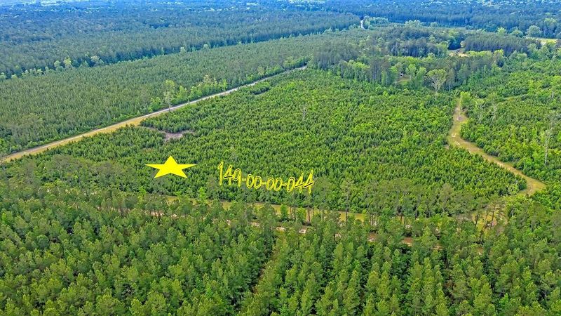 0 Copperhead Rd, Ridgeville, SC 29472