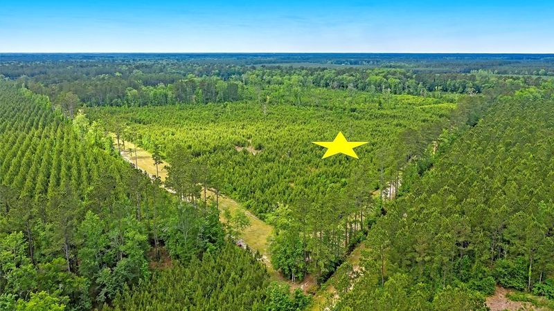0 Copperhead Rd, Ridgeville, SC 29472