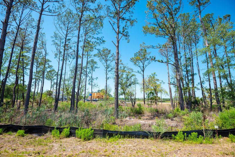 256 Captain Goddard Rd, Charleston, SC 29492
