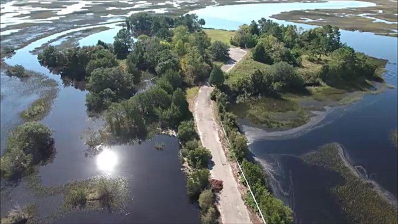 534 Lot 2 Towles Crossing Dr, Hollywood, SC 29449