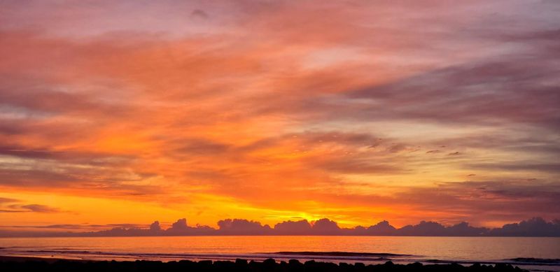 1115 E Arctic Ave, Folly Beach, SC 29439