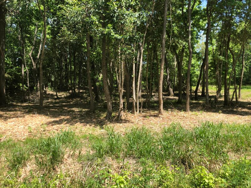 1100 Mccrae Dr, Moncks Corner, SC 29461